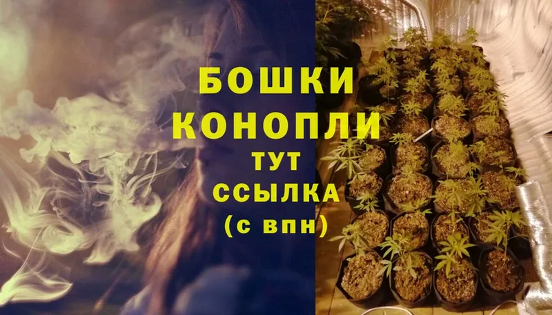 Бошки марихуана White Widow  купить   Гдов 